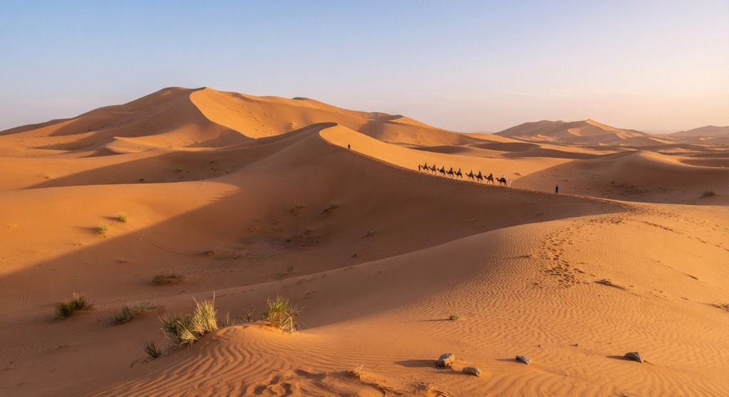Sweeping golden sand dunes of Erg Chebbi showing intricate wind ripples and a camel caravan along the ridge